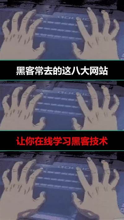 免费黑客联盟招募通道获取方式揭秘「黑客联盟联系方式」